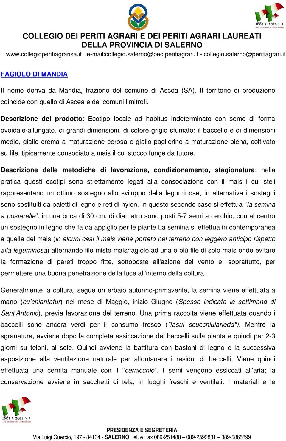 a maturazione cerosa e giallo paglierino a maturazione piena, coltivato su file, tipicamente consociato a mais il cui stocco funge da tutore.