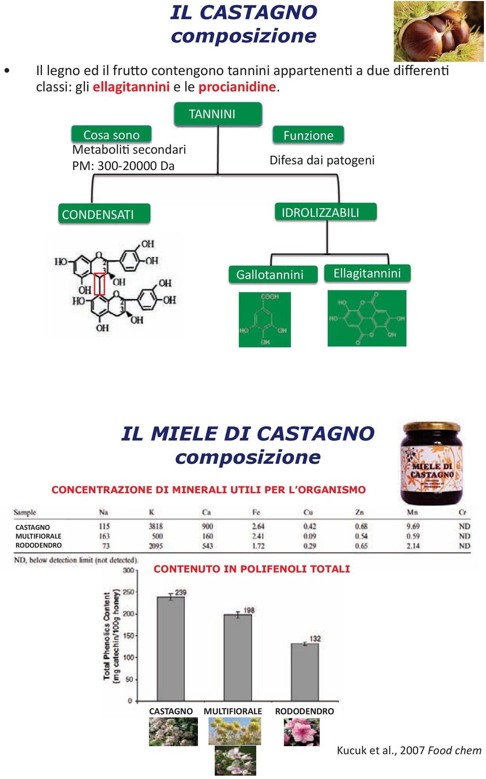 CONCENTRAZIONE DI MINERALI UTILI