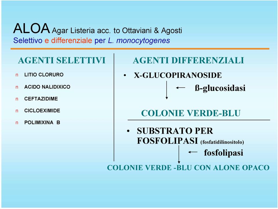 CICLOEXIMIDE POLIMIXINA B AGENTI DIFFERENZIALI X-GLUCOPIRANOSIDE ß-glucosidasi