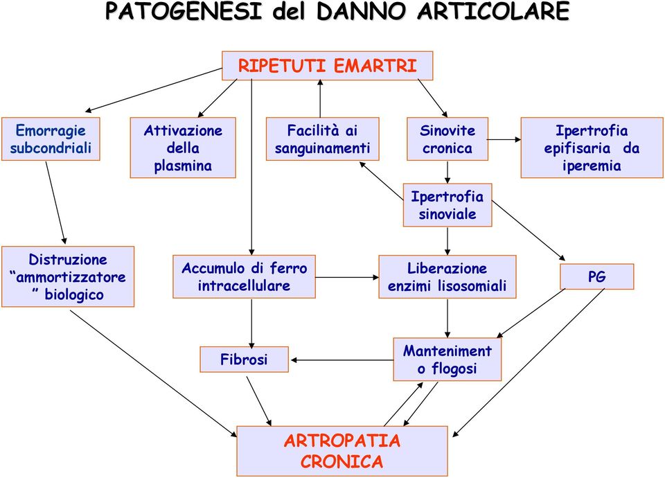 iperemia Ipertrofia sinoviale Distruzione ammortizzatore biologico Accumulo di ferro