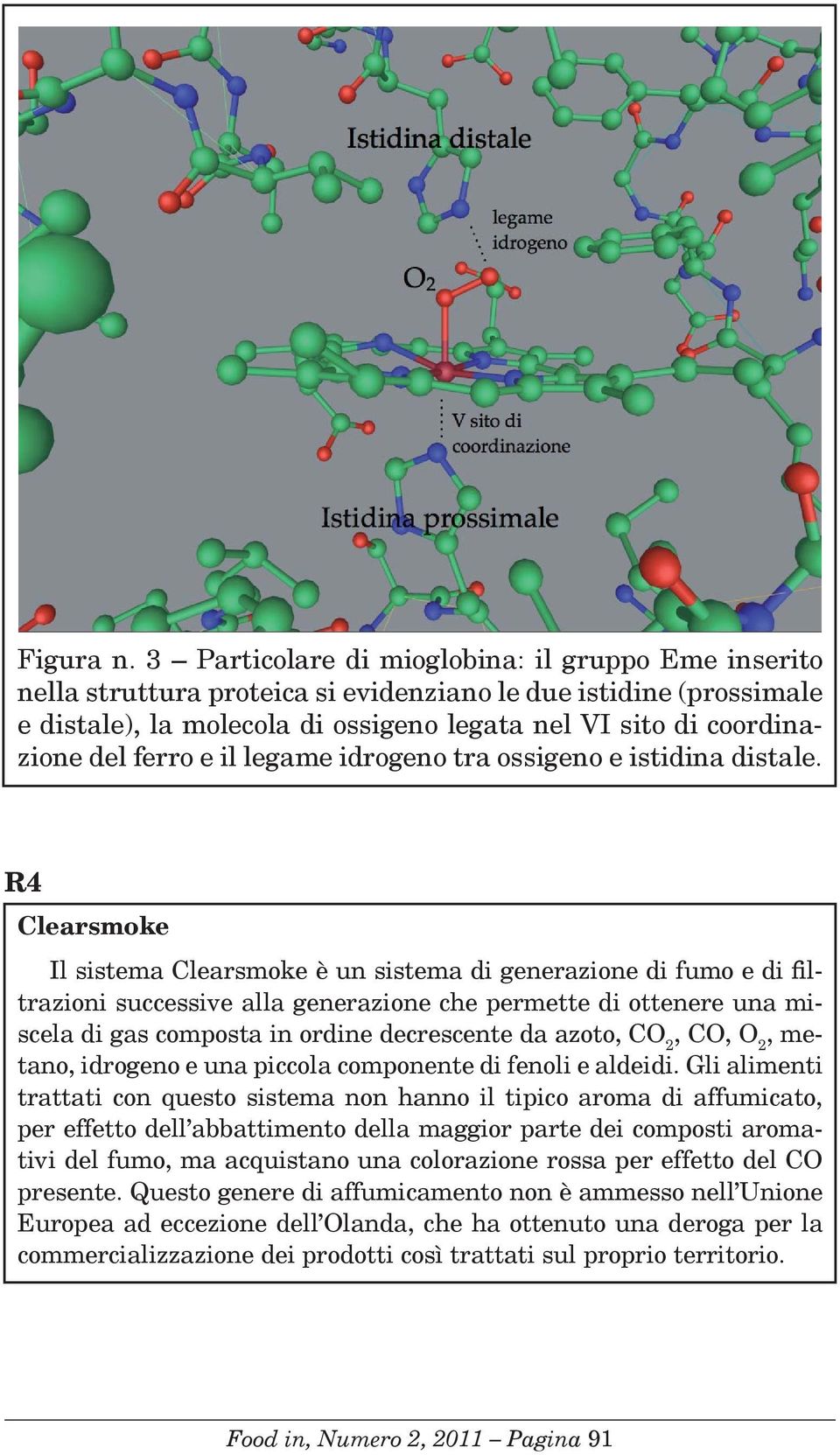 ferro e il legame idrogeno tra ossigeno e istidina distale.