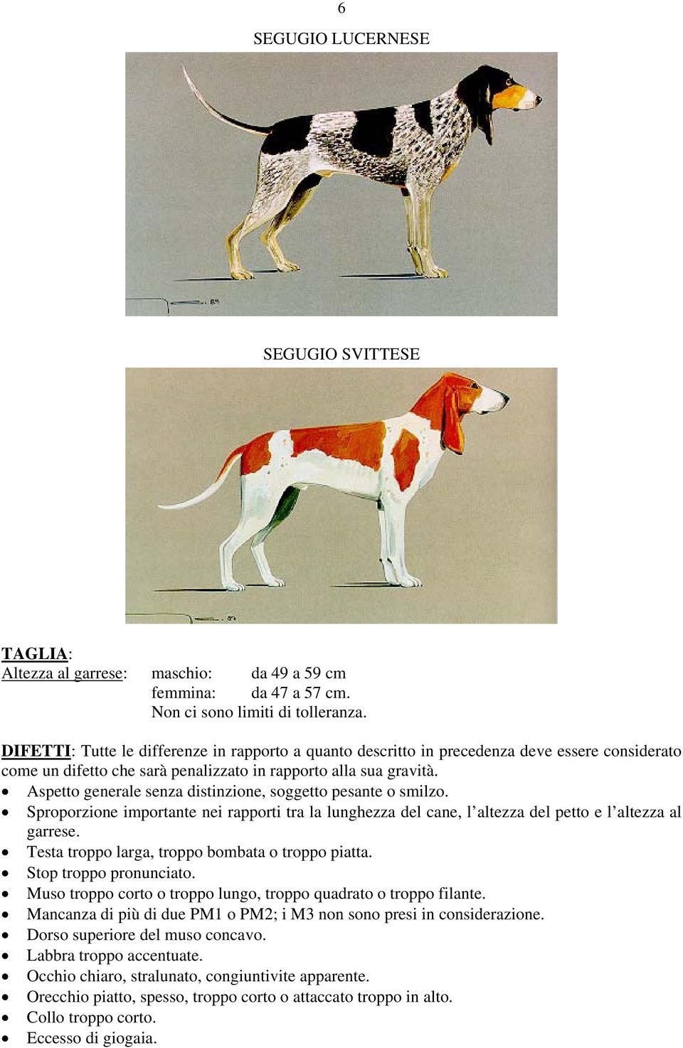 Aspetto generale senza distinzione, soggetto pesante o smilzo. Sproporzione importante nei rapporti tra la lunghezza del cane, l altezza del petto e l altezza al garrese.