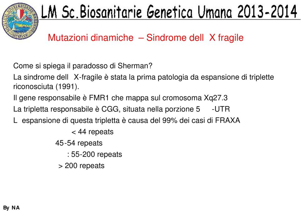 Il gene responsabile è FMR1 che mappa sul cromosoma Xq27.