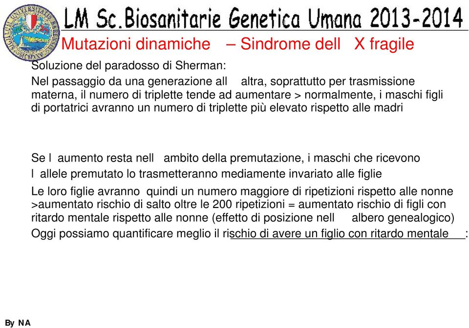 Se l aumento resta nell ambito della premutazione, i maschi che ricevono l allele premutato lo trasmetteranno mediamente invariato alle figlie Le loro figlie avranno quindi un numero maggiore di