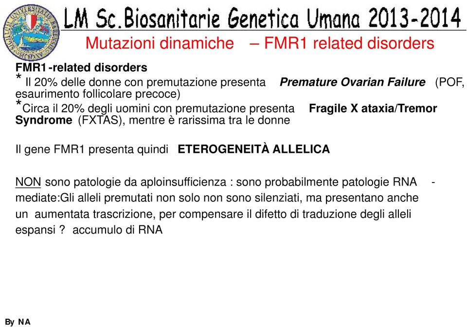 donne Il gene FMR1 presenta quindi ETEROGENEITÀ ALLELICA NON sono patologie da aploinsufficienza : sono probabilmente patologie RNA - mediate:gli alleli