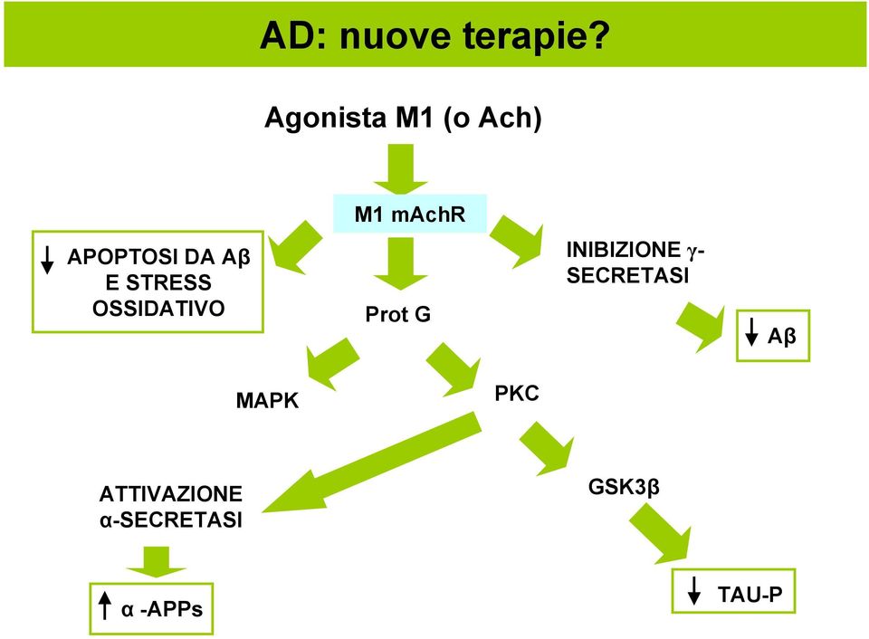 Aβ E STRESS OSSIDATIVO Prot G INIBIZIONE