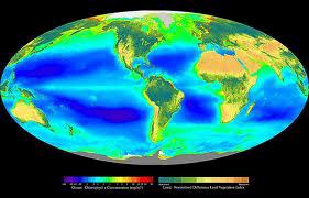Global Hectare, rappresenta la misura totale della biocapacità della Terra, misurata da quelle che sono le potenzialità di produzione a partire dagli ecosistemi presenti sul territorio.