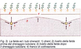 Luoghi d utilizzo Nei grandi areali della pianura padana,