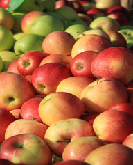 1 di 5 Frutta News mercati il settimanale Ismea di informazione sui prodotti agricoli e agroalimentari n. 24/2012 settimana n.