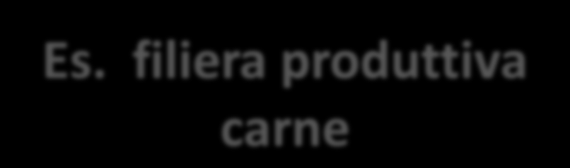 Programmazione Scelta e acquisto del riproduttore Riproduzione Es.