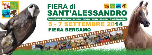 Fiera di Sant Alessandro Bergamo, 5 Settembre 2014 Workshop on
