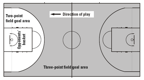 Figura 3 - Area di tiro da 2 e da 3 punti 2.