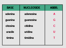 lato dell anello rispetto all atomo C 5 si dice che ha la conformazione endo, mentre se è spostato nel lato opposto dell anello rispetto a C 5 ha la conformazione eso.