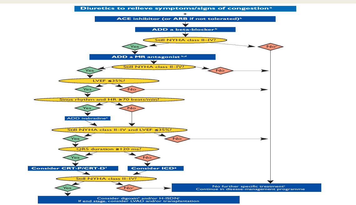 ESC Guidelines John Mc Murrey