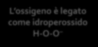 Caratterizzazione Hr/HrO 2 Tramite l'uso di O 2 marcato in modo asimmetrico ( 18 O 16 O) è stato stabilito che in Hr O 2 il diossigeno si lega asimmetricamente: Da tecniche spettroscopiche è stato