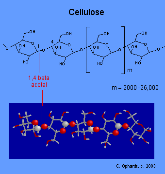 cellulosa