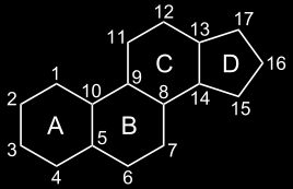 molecole isoprenoidi: steroidi Gli steroidi sono un gruppo di lipidi isoprenoidi che che presentano una struttura di