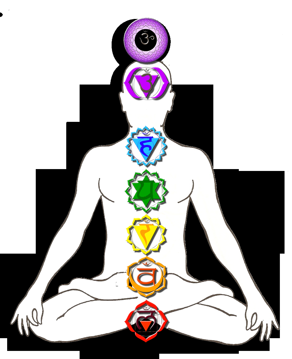 PRIMO SEMINARIO: Il sistema dei Chakra Note1: per ogni chakra vengono descritte le corrispondenze anatomiche, nervose, ghiandolari, praniche, il significato del simbolo, il mantra.