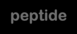 peptide Oligopeptide: piccolo numero di Amminoacidi Polipeptide: elevato numero di