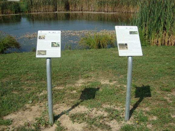 CORRIDOIO MILANO TICINO Agricoltura biologica