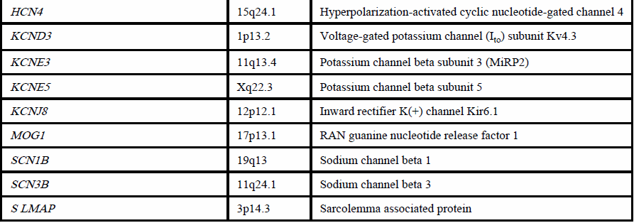 Basi genetiche