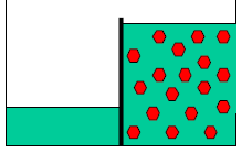 Osmosi Il setto - semipermeabile (selettivamente permeabile), - il sistema tende comunque a raggiungere la parità di concentrazione, trasferendo acqua da un comparto all altro.