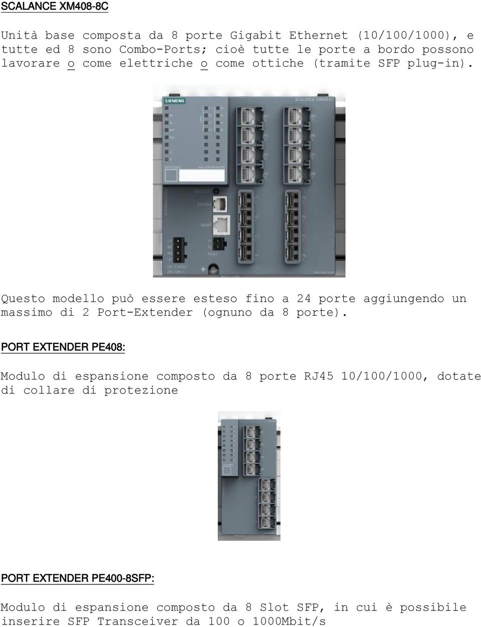 Questo modello può essere esteso fino a 24 porte aggiungendo un massimo di 2 Port-Extender (ognuno da 8 porte).