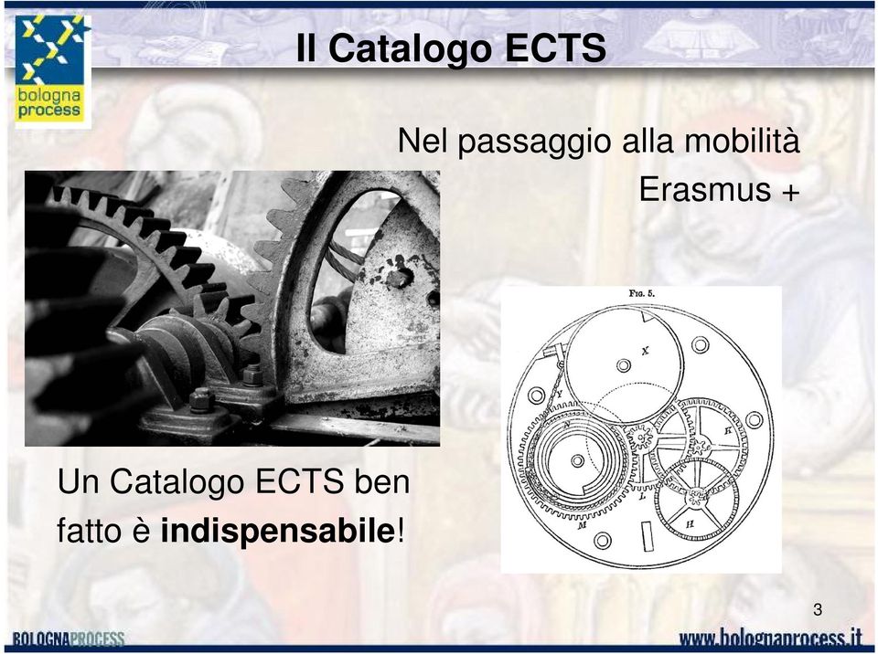 Erasmus + Un Catalogo