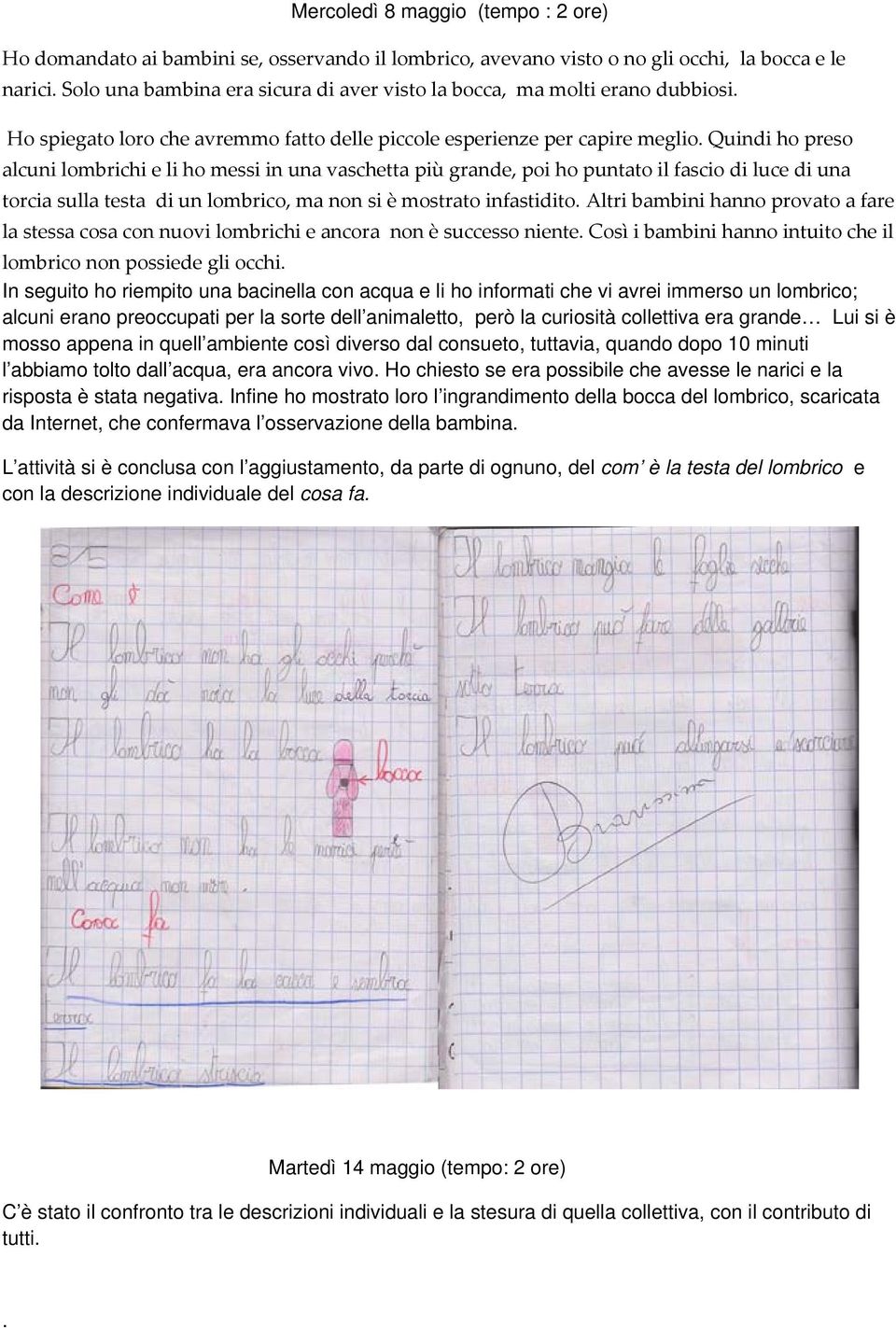 luce di una torcia sulla testa di un lombrico, ma non si è mostrato infastidito Altri bambini hanno provato a fare la stessa cosa con nuovi lombrichi e ancora non è successo niente Così i bambini