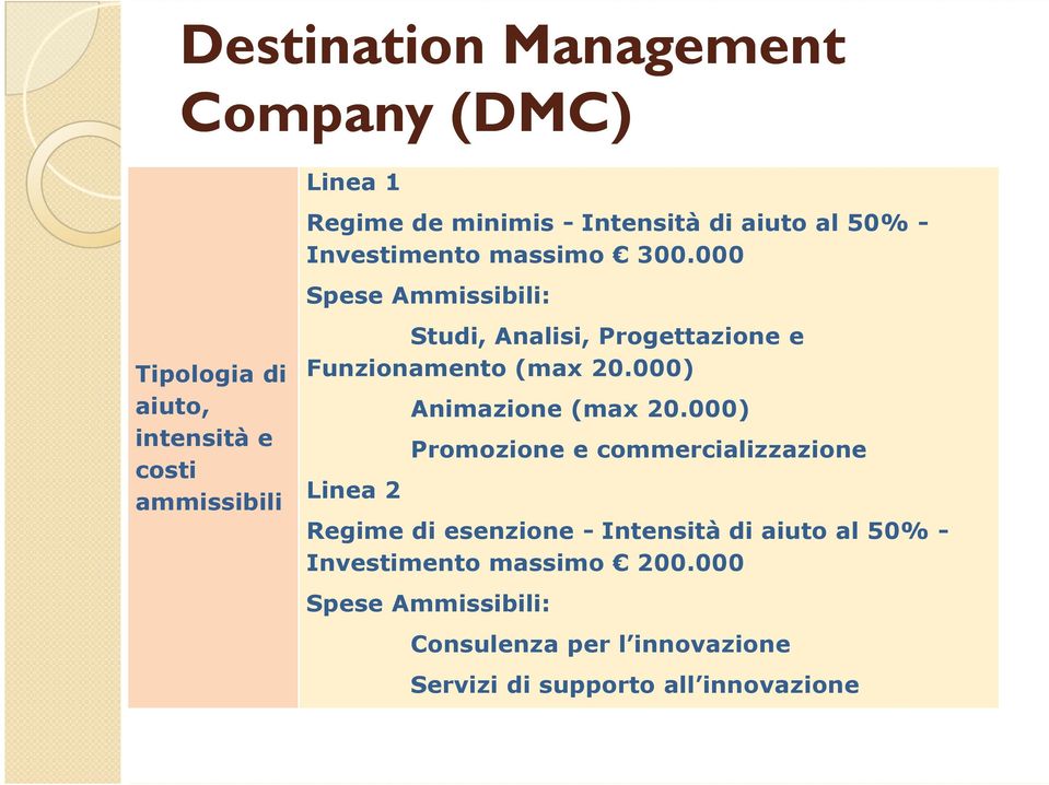 000 Spese Ammissibili: Studi, Analisi, Progettazione e Funzionamento (max 20.000) Linea 2 Animazione (max 20.