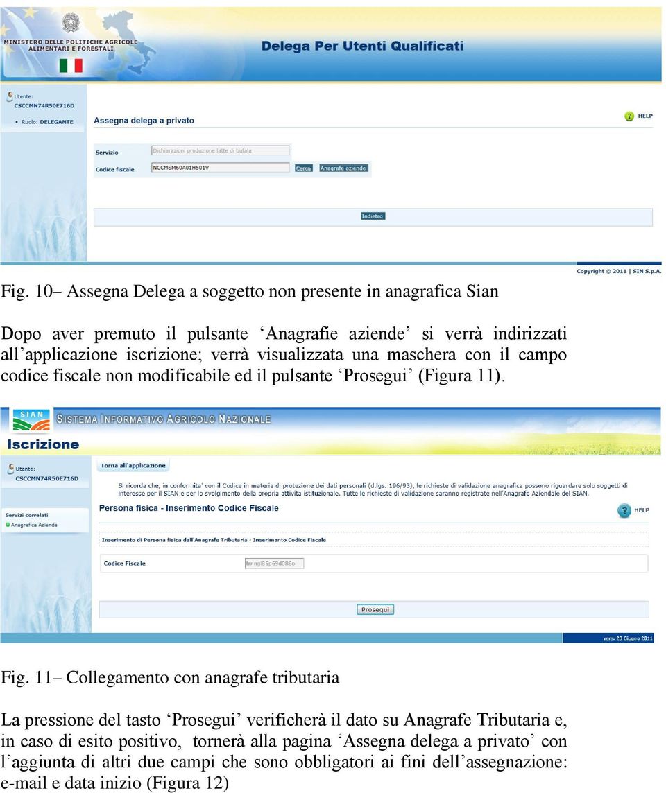 11 Collegamento con anagrafe tributaria La pressione del tasto Prosegui verificherà il dato su Anagrafe Tributaria e, in caso di esito positivo,