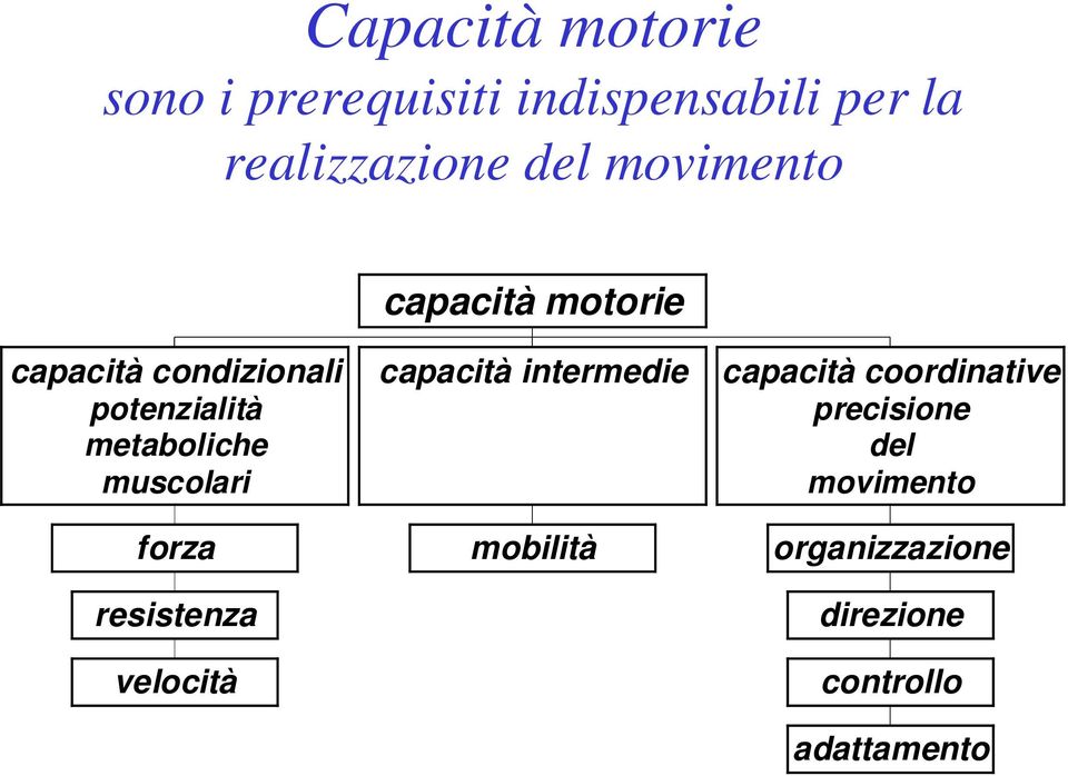 muscolari forza resistenza velocità capacità intermedie mobilità capacità