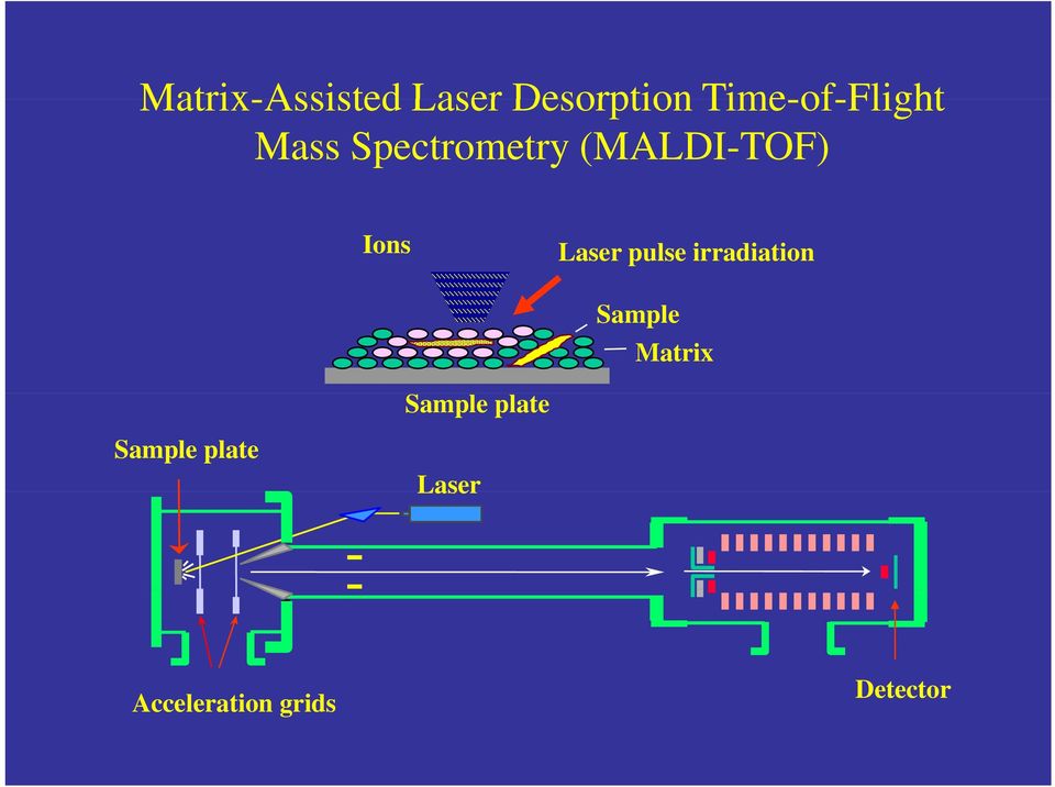 Ions Laser pulse irradiation Sample Matrix