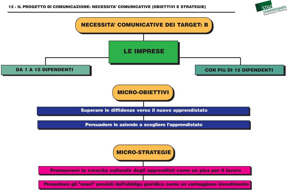 apprendistato Persuadere le aziende a scegliere l apprendistato MICRO-STRATEGIE Promuovere la crescita culturale degli