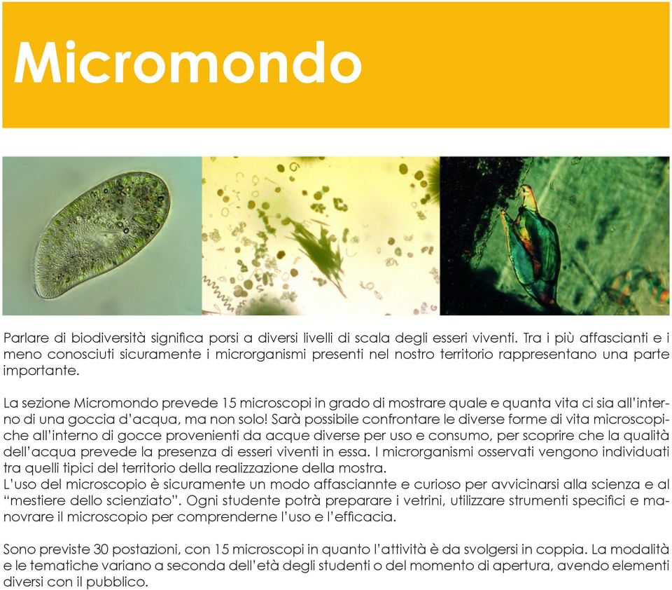 La sezione Micromondo prevede 15 microscopi in grado di mostrare quale e quanta vita ci sia all interno di una goccia d acqua, ma non solo!