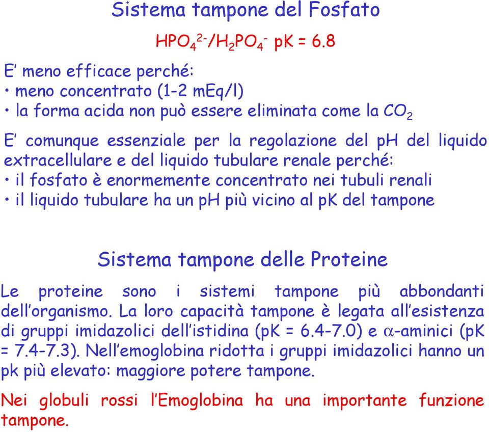 liquido tubulare renale perché: il fosfato è enormemente concentrato nei tubuli renali il liquido tubulare ha un ph più vicino al pk del tampone Sistema tampone delle Proteine Le proteine