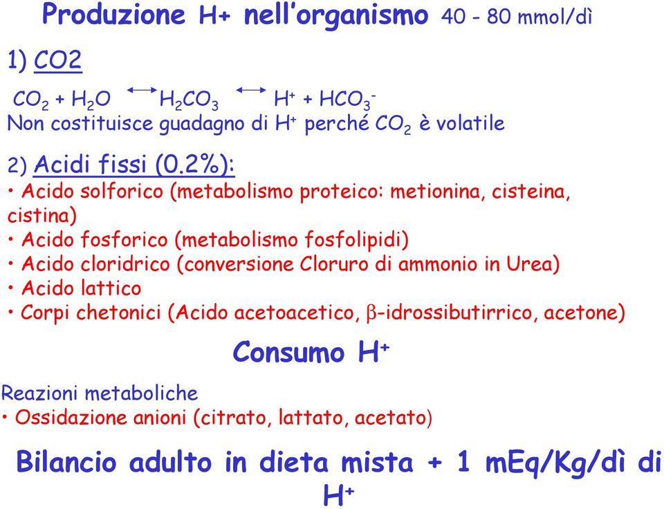 2%): Acido solforico (metabolismo proteico: metionina, cisteina, cistina) Acido fosforico (metabolismo fosfolipidi) Acido cloridrico