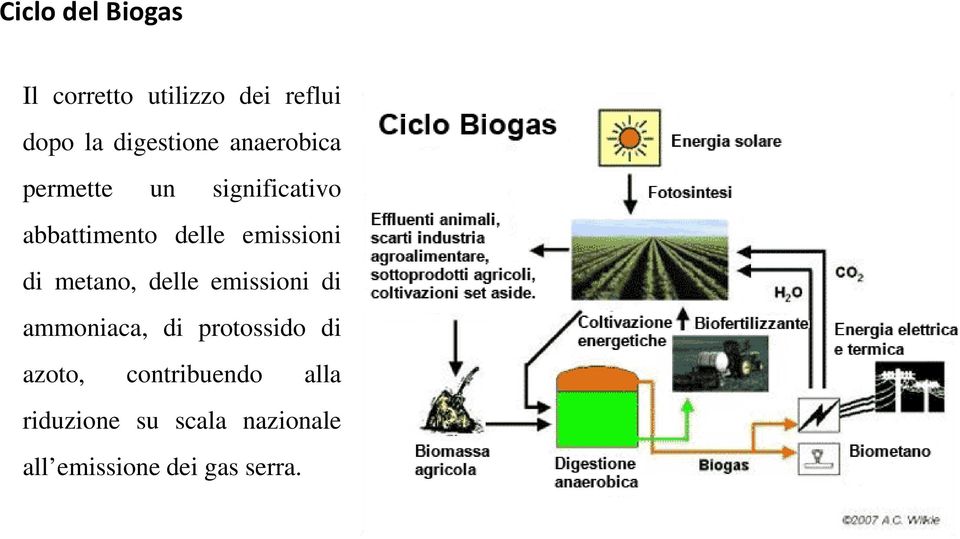 metano, delle emissioni di ammoniaca, di protossido di azoto,