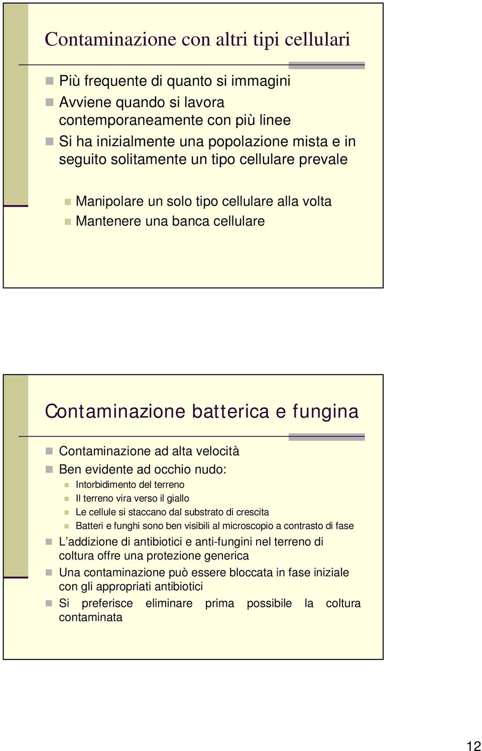 Intorbidimento del terreno Il terreno vira verso il giallo Le cellule si staccano dal substrato di crescita Batteri e funghi sono ben visibili al microscopio a contrasto di fase L addizione di