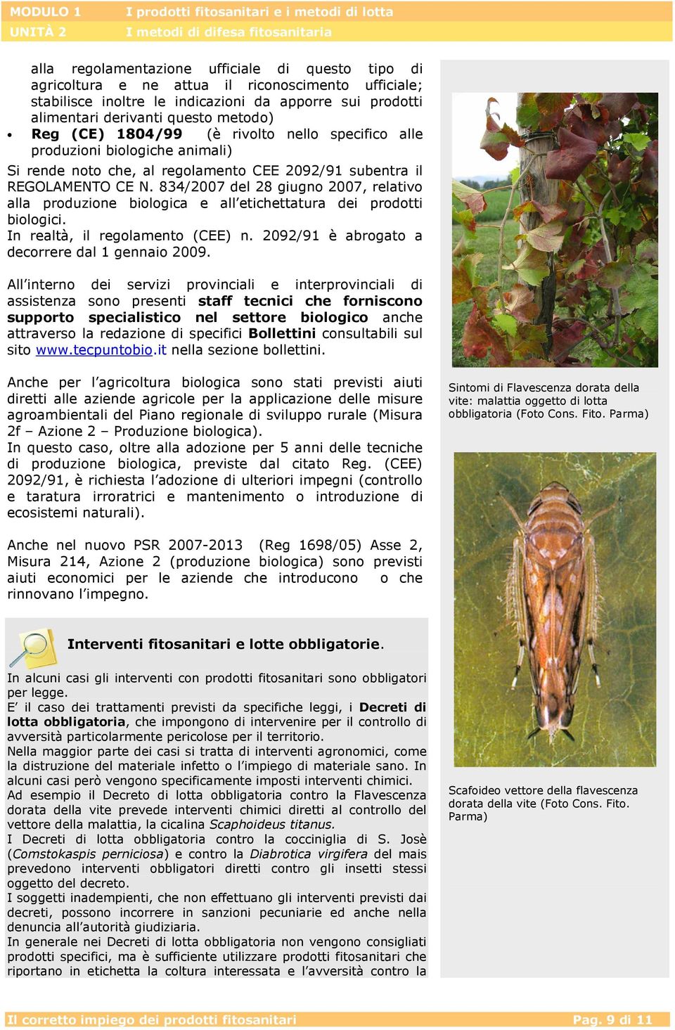 834/2007 del 28 giugno 2007, relativo alla produzione biologica e all etichettatura dei prodotti biologici. In realtà, il regolamento (CEE) n. 2092/91 è abrogato a decorrere dal 1 gennaio 2009.