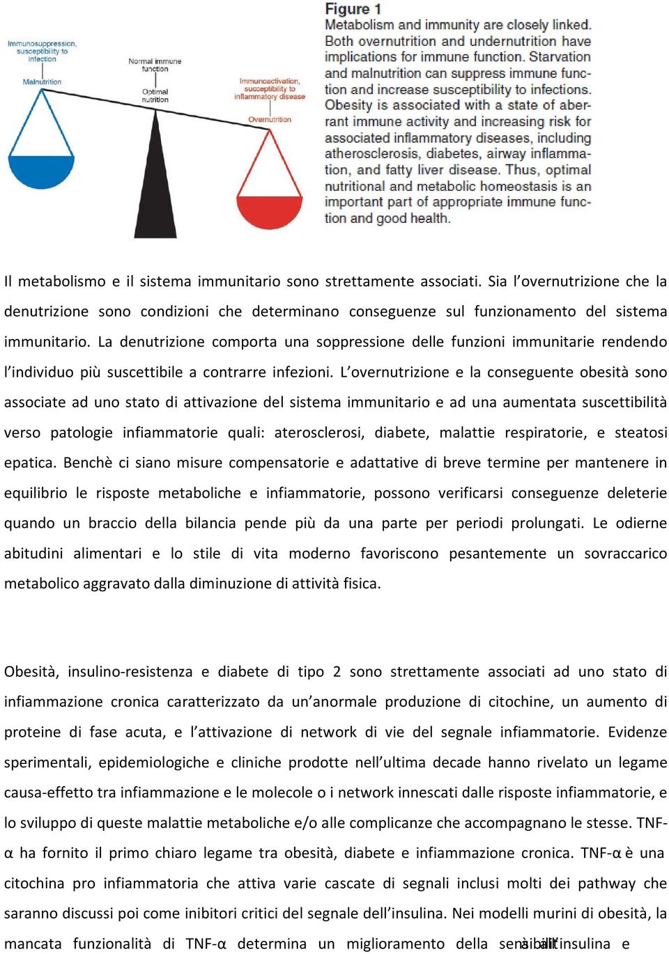 L overnutrizione e la conseguente obesità sono associate ad uno stato di attivazione del sistema immunitario e ad una aumentata suscettibilità verso patologie infiammatorie quali: aterosclerosi,