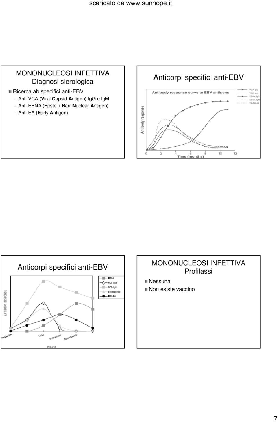 Antigen) Anti-EA(Early Antigen) Anticorpi specifici