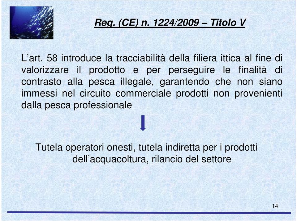 perseguire le finalità di contrasto alla pesca illegale, garantendo che non siano immessi nel