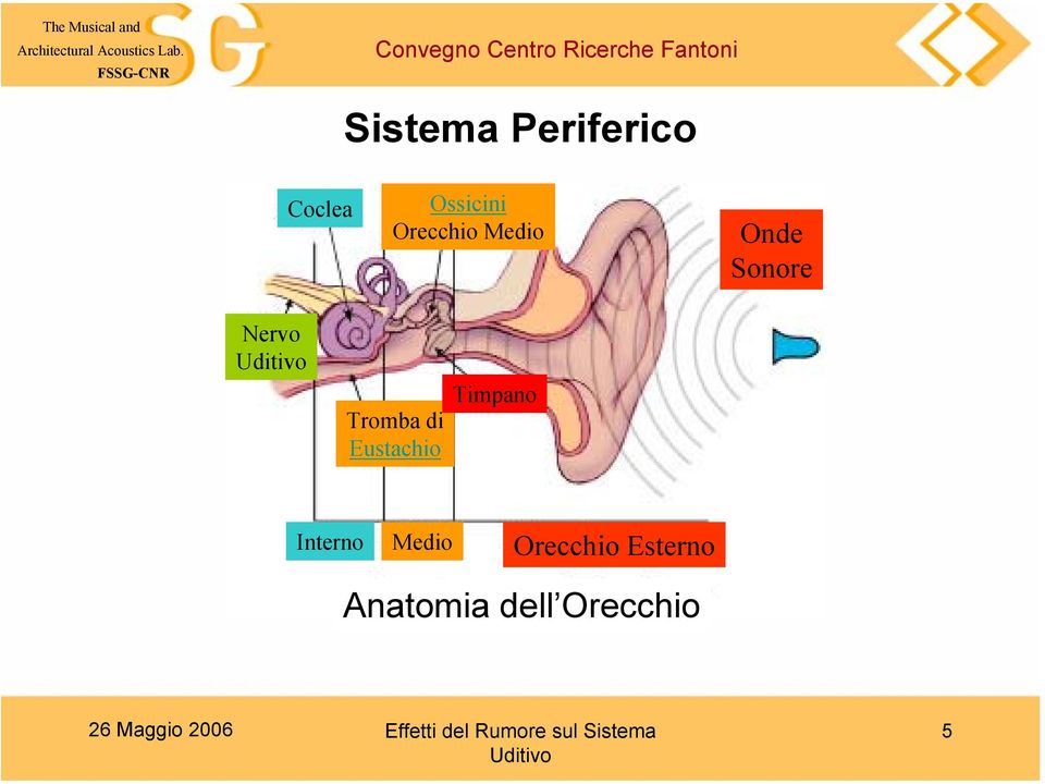 Tromba di Eustachio Timpano Interno