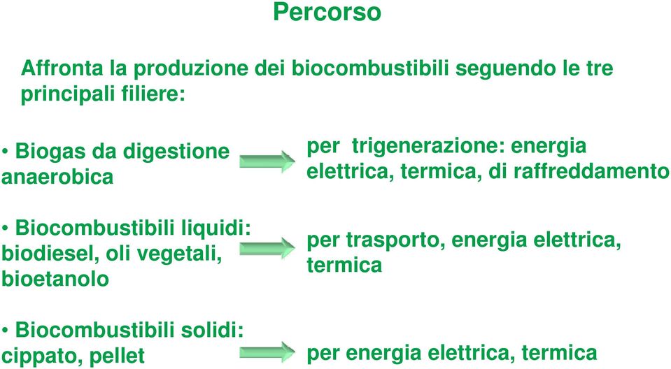 bioetanolo Biocombustibili solidi: cippato, pellet per trigenerazione: energia elettrica,