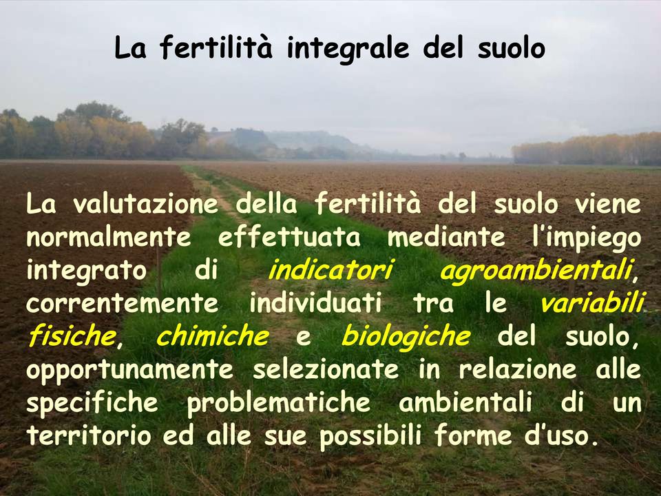 individuati tra le variabili fisiche, chimiche e biologiche del suolo, opportunamente