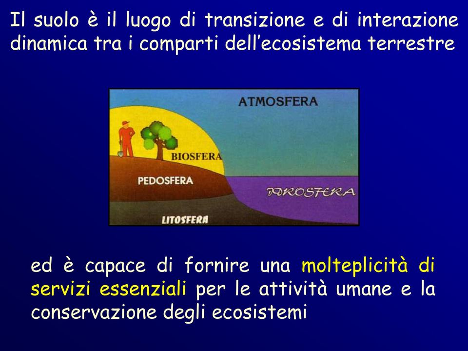 capace di fornire una molteplicità di servizi