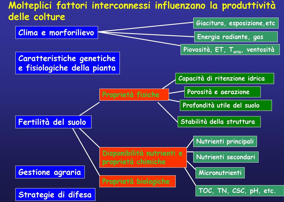 Capacità di ritenzione idrica Porosità e aerazione Profondità utile del suolo Stabilità della struttura Gestione agraria Strategie di