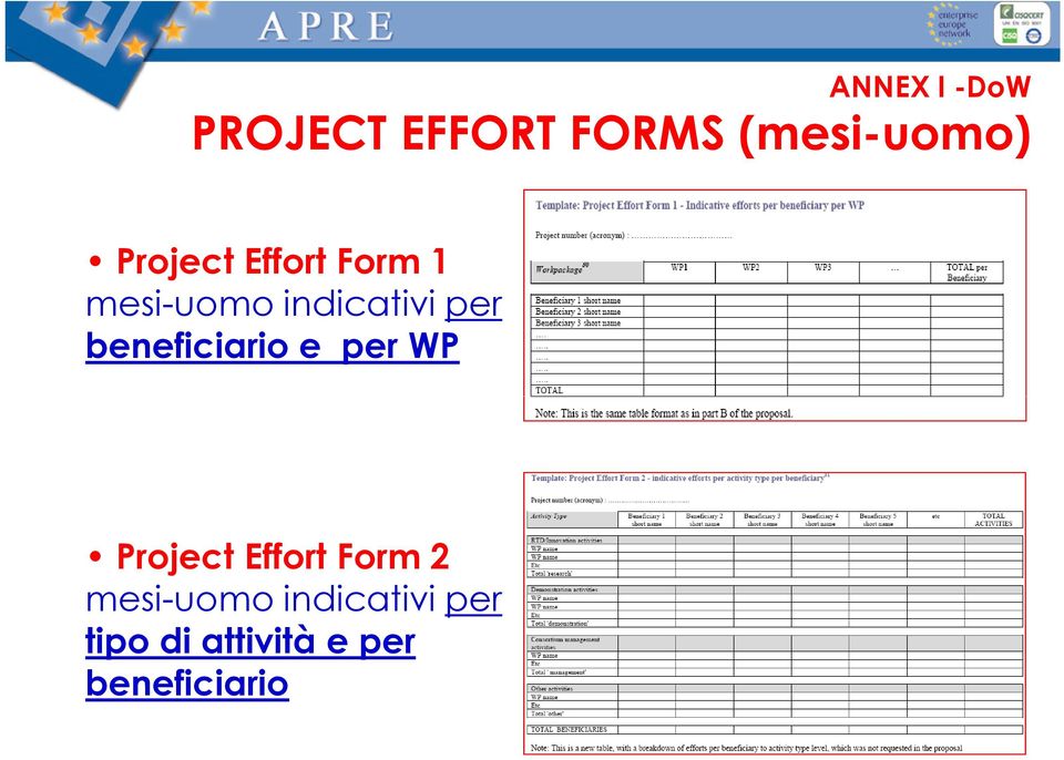 beneficiario e per WP Project Effort Form 2