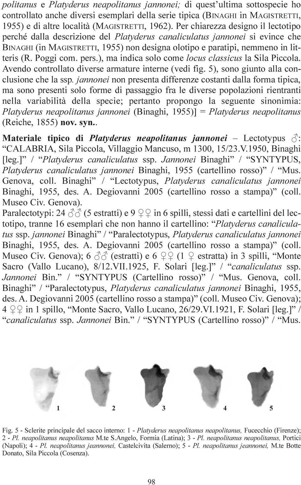 Per chiarezza designo il lectotipo perché dalla descrizione del Platyderus canaliculatus jannonei si evince che BINAGHI (in MAGISTRETTI, 1955) non designa olotipo e paratipi, nemmeno in litteris (R.